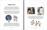 28-29 Penguin Town 1